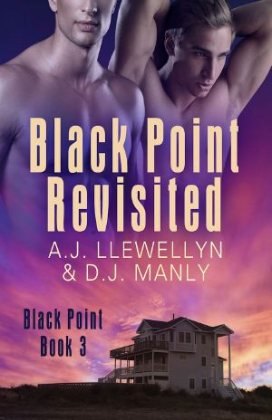 [Black Point 03] • Black Point Revisited